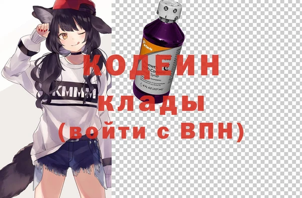 прущие грибы Верея